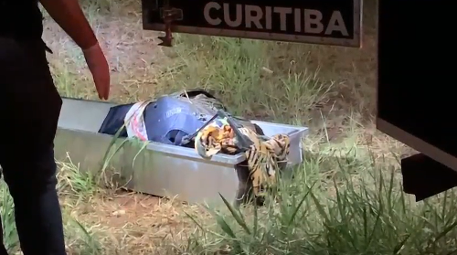 Imagem de destaque