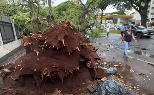 Imagem de destaque
