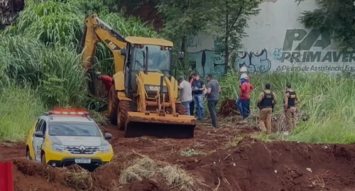 Imagem de destaque