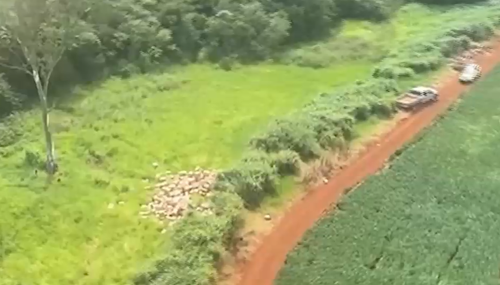Imagem de destaque