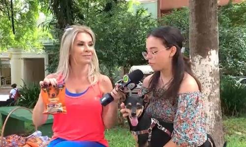 Imagem de destaque