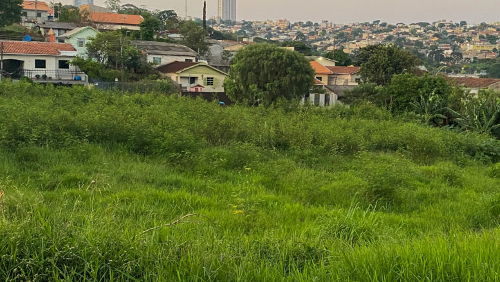 Imagem de destaque