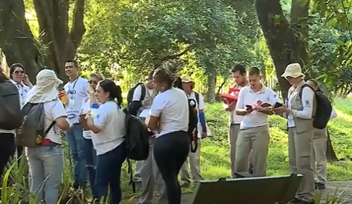 Imagem de destaque