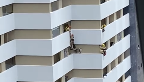 Imagem de destaque