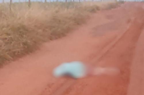Imagem de destaque