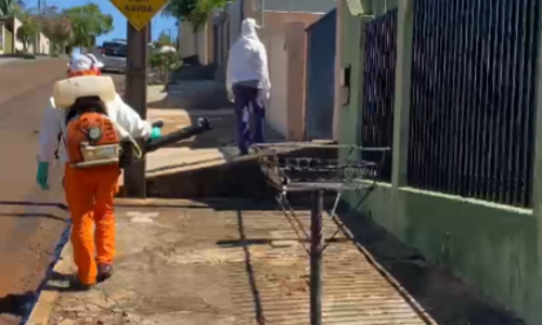 Imagem de destaque