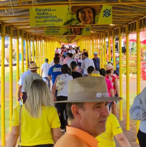 Imagem de destaque