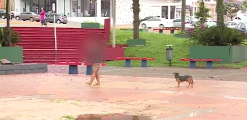 Imagem de destaque