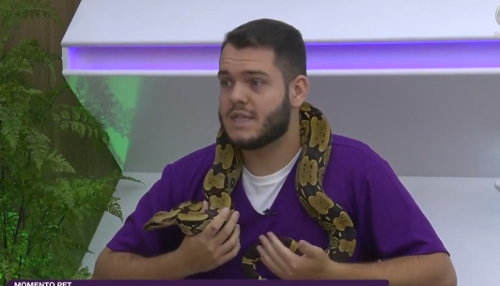 Imagem de destaque
