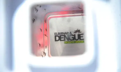 Imagem de destaque