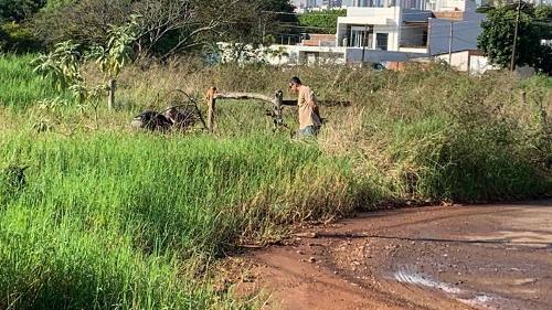 Imagem de destaque