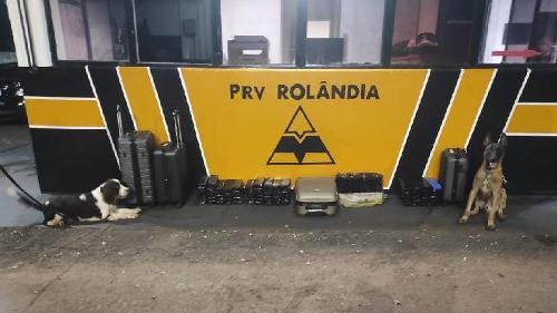 Imagem de destaque
