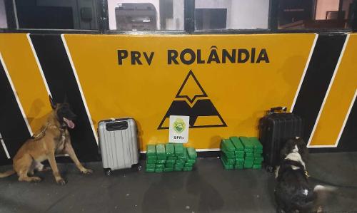 Imagem de destaque