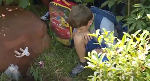 Imagem de destaque
