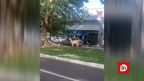 Imagem de destaque