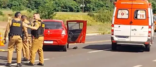 Imagem de destaque