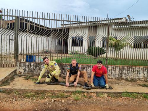 Imagem de destaque