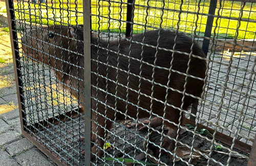 Imagem de destaque