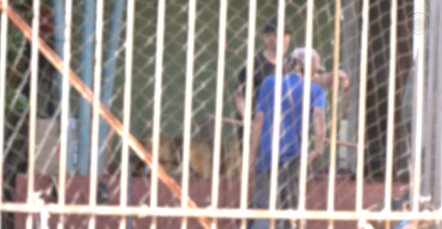 Imagem de destaque