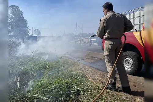 Imagem de destaque