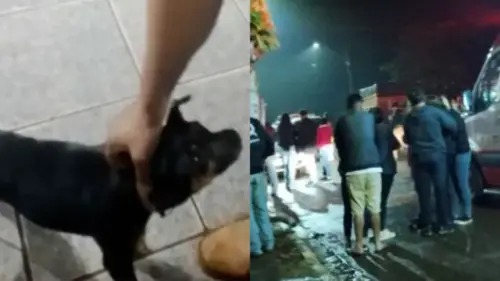 Imagem de destaque