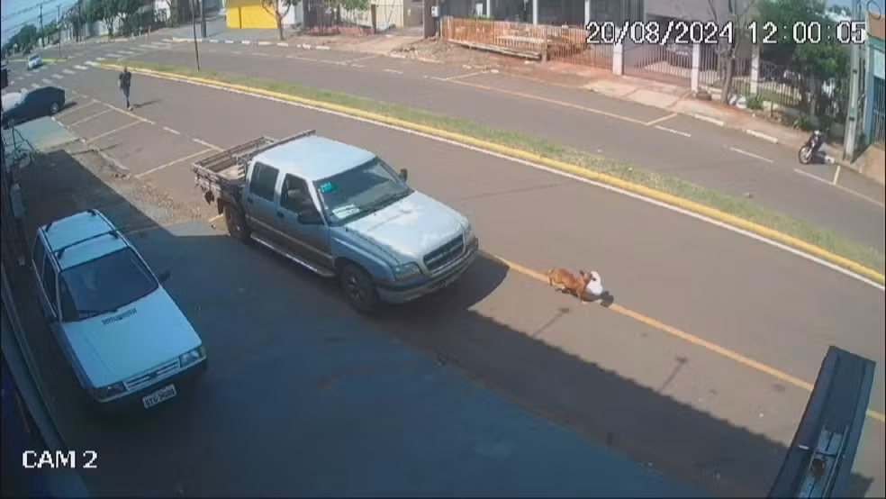 Imagem de destaque