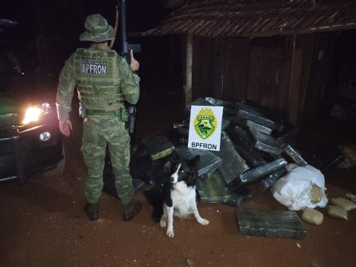 Grande apreensão foi realizada no distrito de Porto Mendes