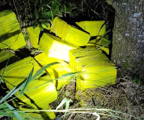 Grande quantidade de maconha foi apreendida