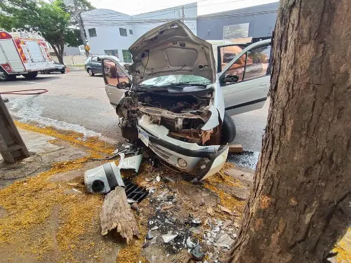 Imagem de destaque