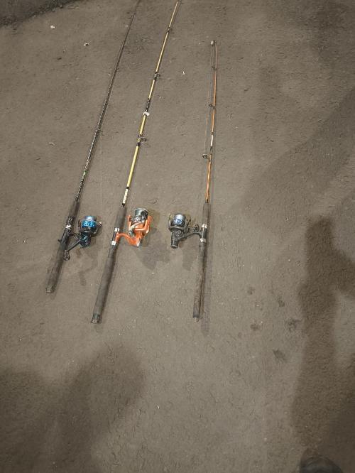 Peixes foram pescados no Rio Iguaçu