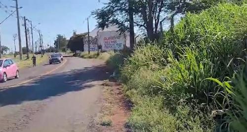 Imagem de destaque
