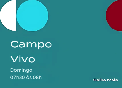 Imagem de destaque