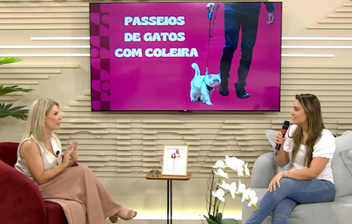 Imagem de destaque