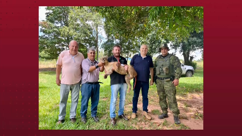 Imagem de destaque