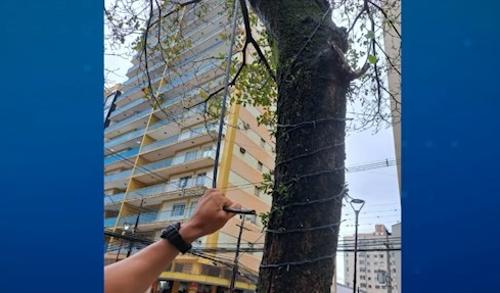 Imagem de destaque