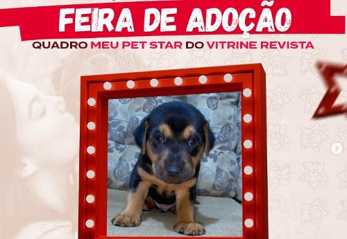 Imagem de destaque