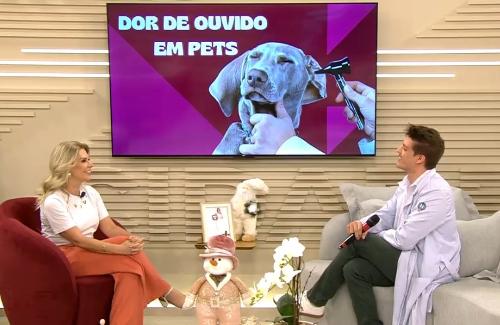 Imagem de destaque