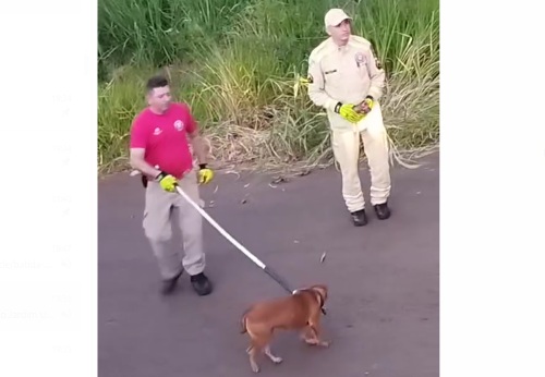 Imagem de destaque