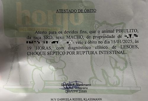 Imagem de destaque