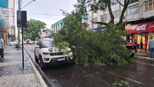 Imagem de destaque