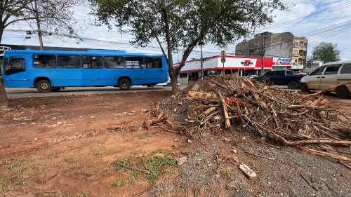Imagem de destaque