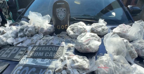 Imagem de destaque