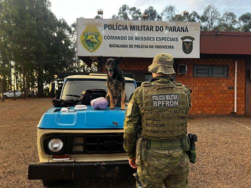 Imagem de destaque