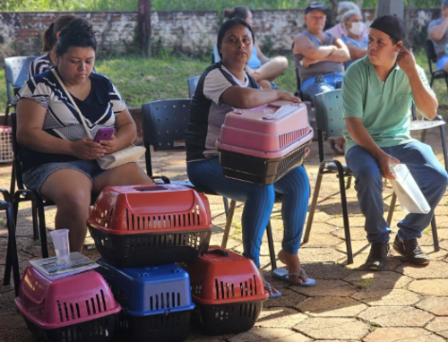 Imagem de destaque