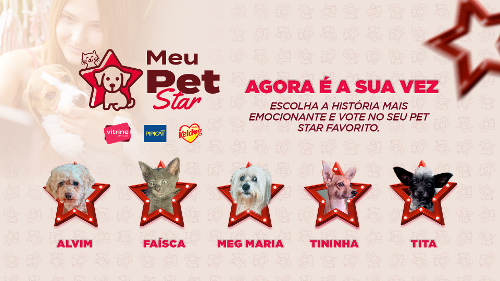 Imagem de destaque