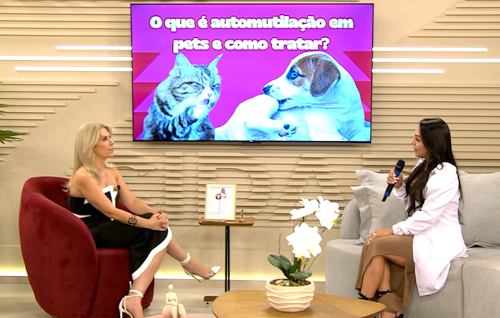 Imagem de destaque