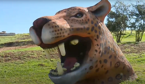 Imagem de destaque