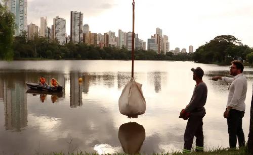 Imagem de destaque
