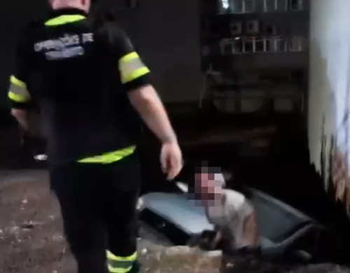 Imagem de destaque