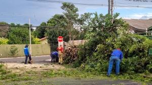 Imagem de destaque